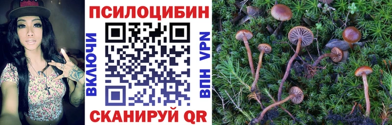 Псилоцибиновые грибы GOLDEN TEACHER  Купить где  Ворсма 